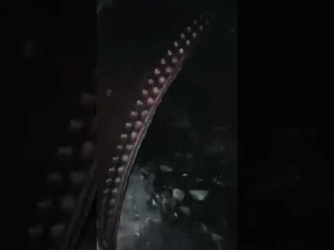 Страшные Видео и Страшилки 12