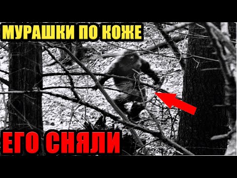 СЕНСАЦИЯ!!! 16.09.2025!!! ЕГО В ПЕРВЫЕ ЗАСНЯЛИ!!! ПОКАЖИТЕ ЭТО ВСЕМ!!!