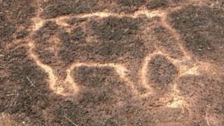 В Индии найдены древние петроглифы неизвестной культуры с изображениями ... африканских животных