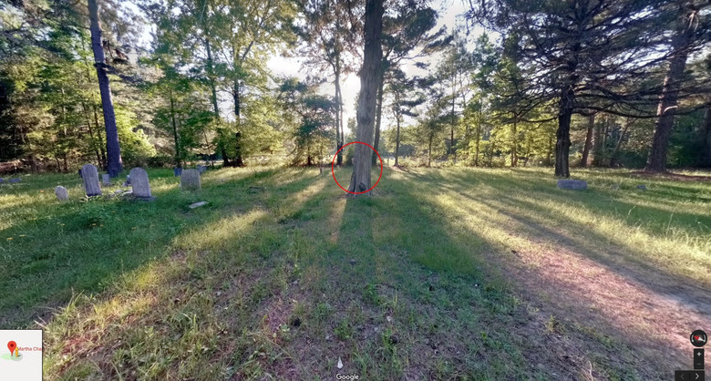 На снимке заросшего кладбища в Google Maps разглядели пугающую голову "девочки