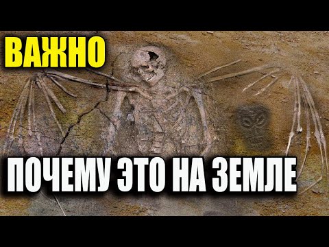 АРХЕОЛОГИ ПОБЛЕДНЕЛИ, увидев ЭТО! Невероятная находка гуманоидных рептилий способна переписать истор