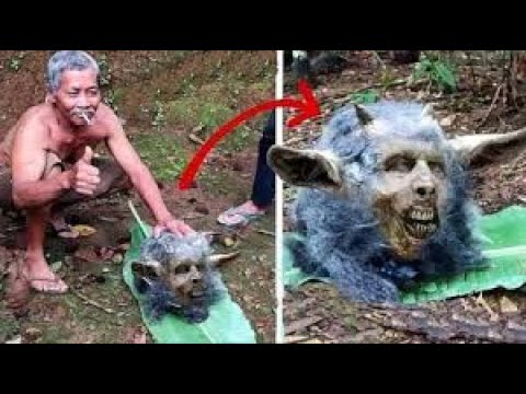 Такие Существа Наводят Ужас / Жуткие Мутанты снятые на видео
